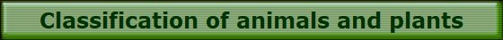 Classification of animals and plants